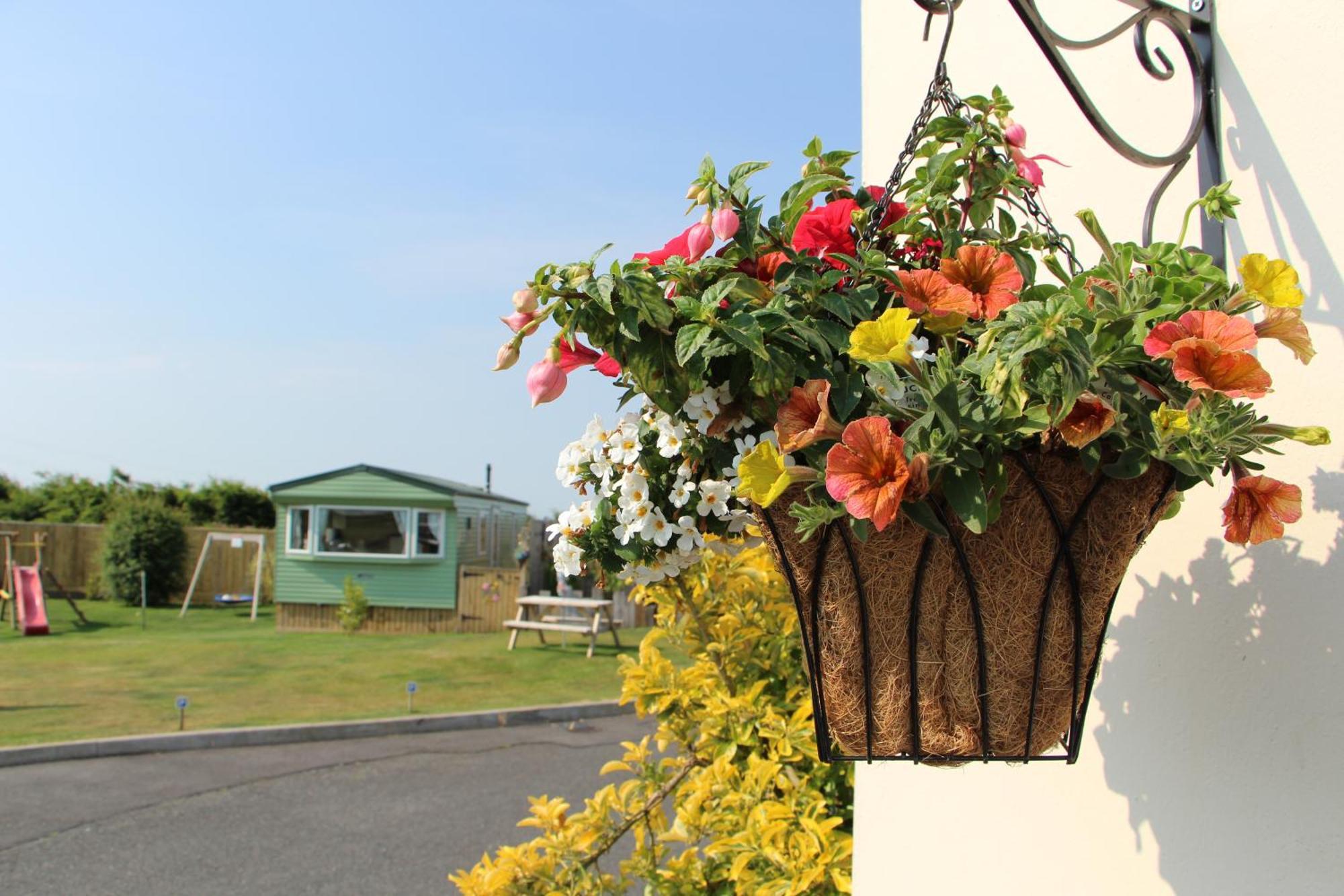 Melorne Farm Guest House 卡姆尔福德 外观 照片